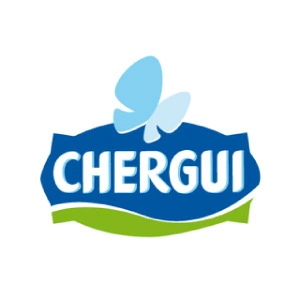 Logo CHERGUI